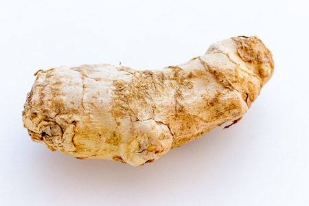 Ginger