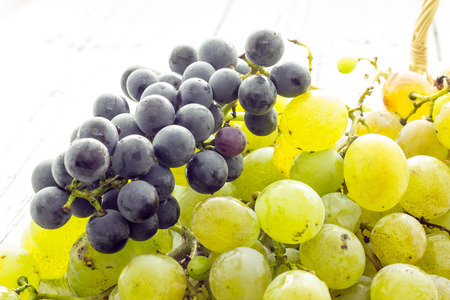 Bunch of grapesの写真素材