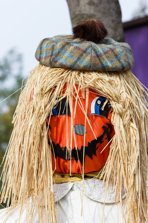 Monsters for Halloween Partyの写真素材