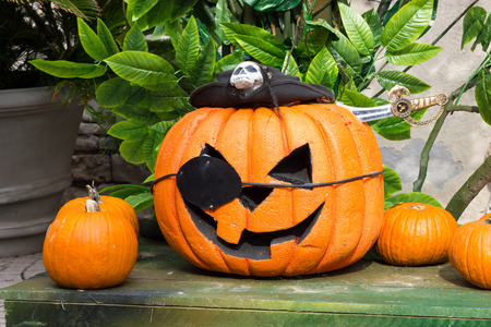 Orange pumpkins for Halloween Partyの写真素材