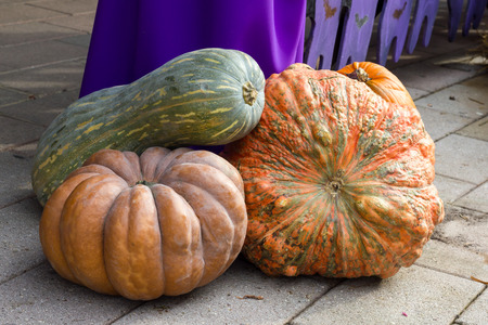 Orange pumpkins for Halloween Partyの写真素材