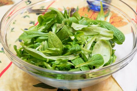 Bowl of lettuce leavesの写真素材