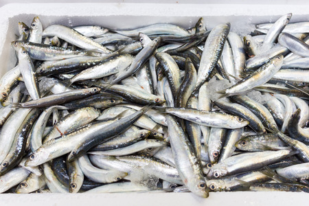 Sea fish on market stallsの写真素材