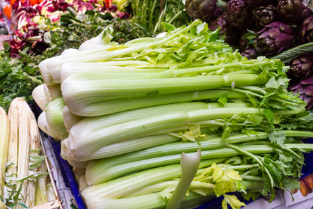 Bunches of celery at the marketの写真素材