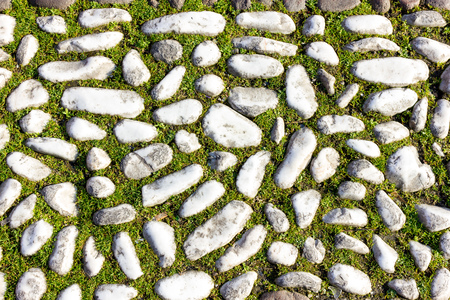 Ancient stone road in Bologna Italyの写真素材