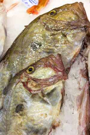 Sea fish on market stalls