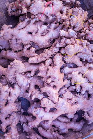 Birmaniaの写真素材