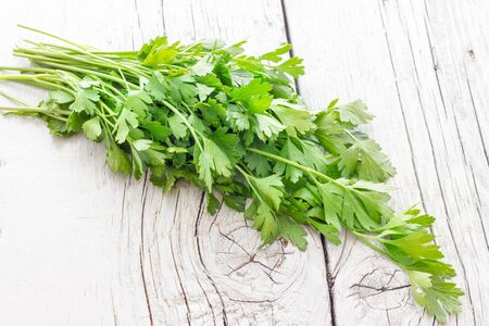 Parsley leaves biologicalの写真素材