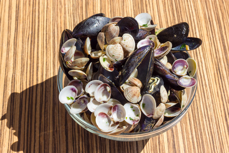 Empty mussels and clamsの写真素材