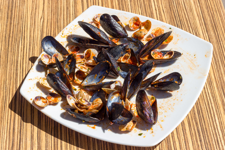 Empty mussels and clamsの写真素材
