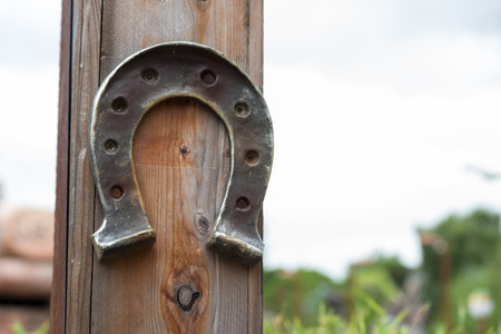 Horseshoe lucky horseの写真素材