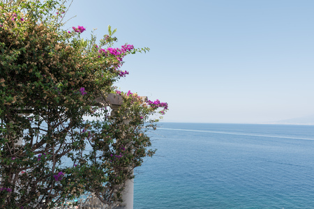 Sorrento Naples Italyの写真素材