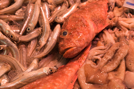 Of the market sea fish