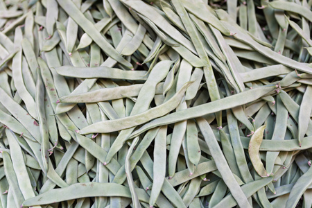 GREEN flat beans