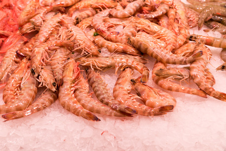 Of the market sea fishの写真素材