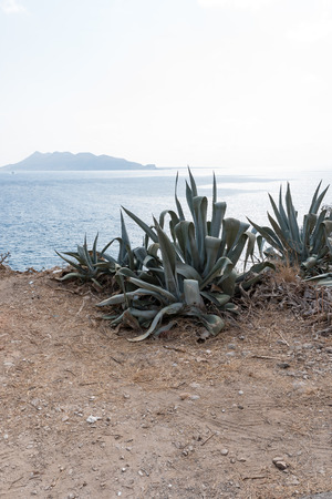 Coast of Sicily Italyの写真素材