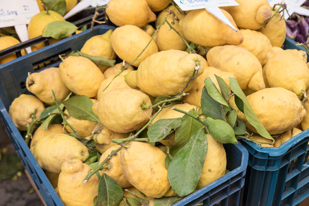Limoni di Sorrento Naples Italy