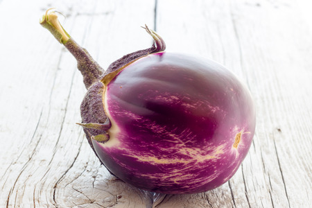 Biological eggplantsの写真素材