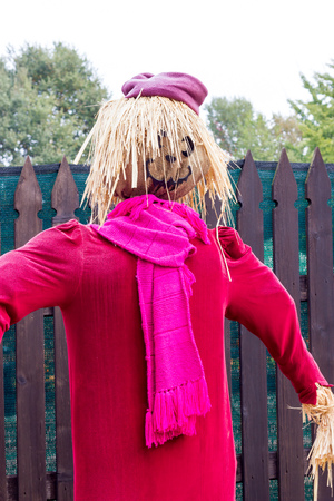 Monsters for Halloween Partyの写真素材