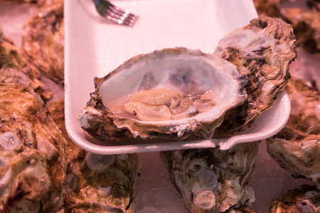 Of the market sea fishの写真素材