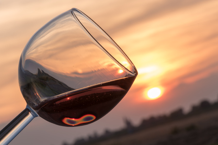 Toast at sunset closeupの写真素材