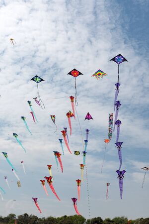 Kites with blue sky and white cloudsの写真素材