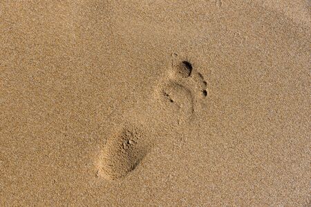 Footprints on the shore of the seaの写真素材