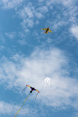 Kites with blue sky and white cloudsの写真素材