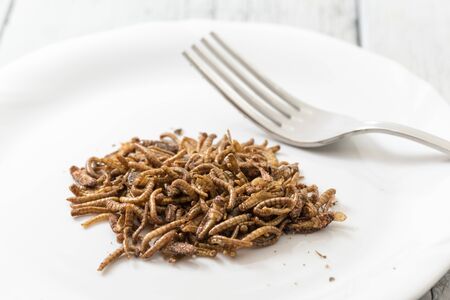 Fried cricket larvaeの写真素材