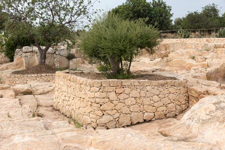 Sicilian rock gardenの写真素材