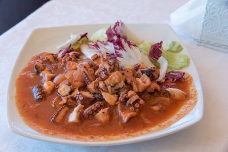Octopus with tomato sauceの写真素材