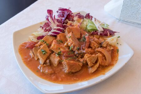 Stew with tomato sauce and onionの写真素材