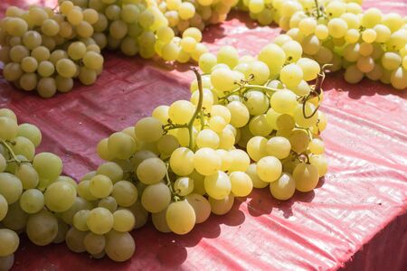 White grapes at the Catania market