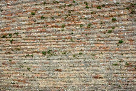 Ancient red brick wallの写真素材