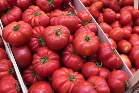 Tomatoes on the market benchの写真素材