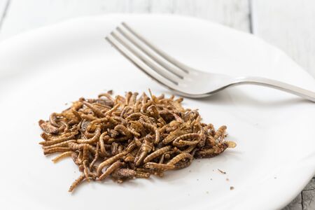 Fried cricket larvaeの写真素材
