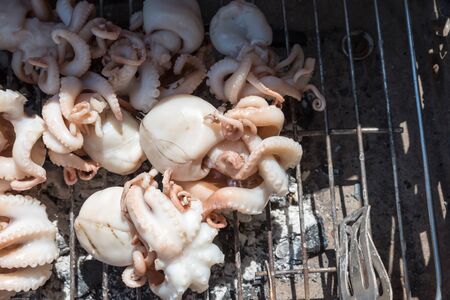 Cooking the grilled polypsの写真素材