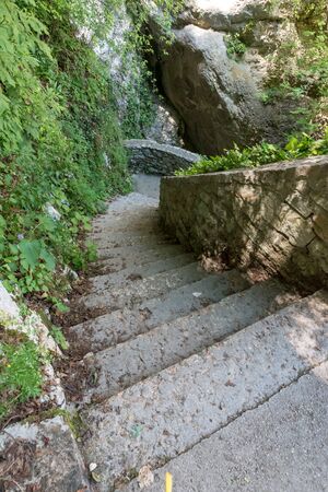 Stone stairway in the woodsの写真素材