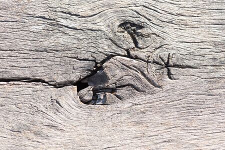 Wood knots close upの写真素材