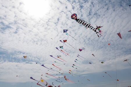 Kites with blue sky and white cloudsの写真素材