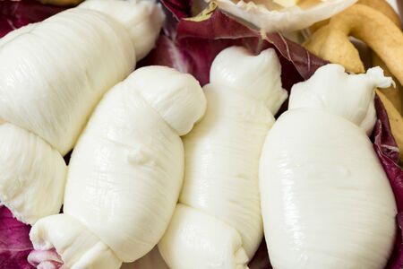 Appetizer of dairy products from Puglia Italy