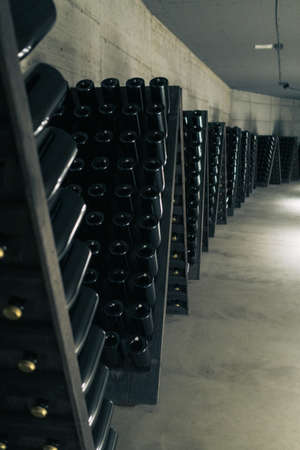 Winery room full of bottles, them are upside down beacuse the traditional method
