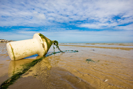abandoned buoy on the sand in normandy franceの写真素材