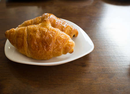 Relaxed brown cat looking attentively to the front in a houseの写真素材