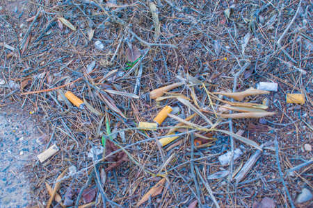 Dangerous cigarette butts on the floor of a dirty park