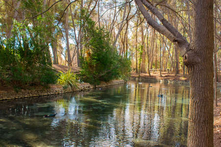 Crystal clear lake in the park of San Vicente. Liria Valencia. Spain.の写真素材