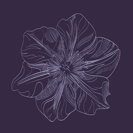 Vector hand-drawing flower. Card, or textile design elementのイラスト素材