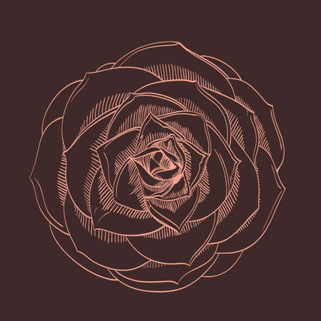 Vector hand-drawing flower. Card, or textile design elementのイラスト素材