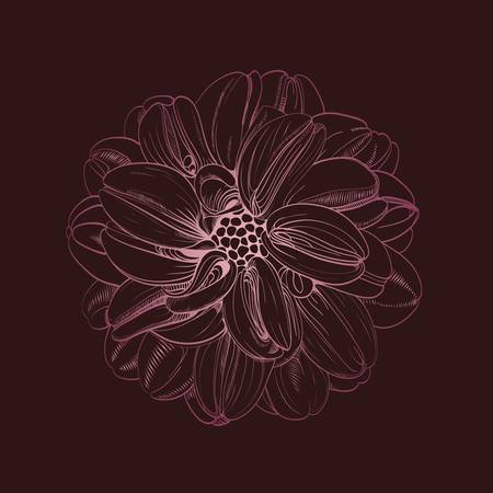 Vector hand-drawing flower. Card, or textile design elementのイラスト素材