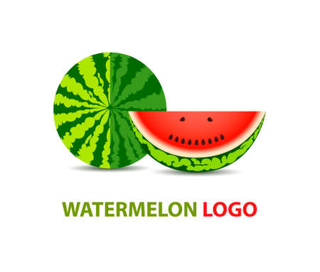 Watermelon vector logo design. Fruit logotype templateのイラスト素材